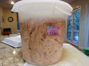 100% whole wheat walnut loaf risen dough 3648x2736